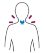 Hypothyroidism-colored icon