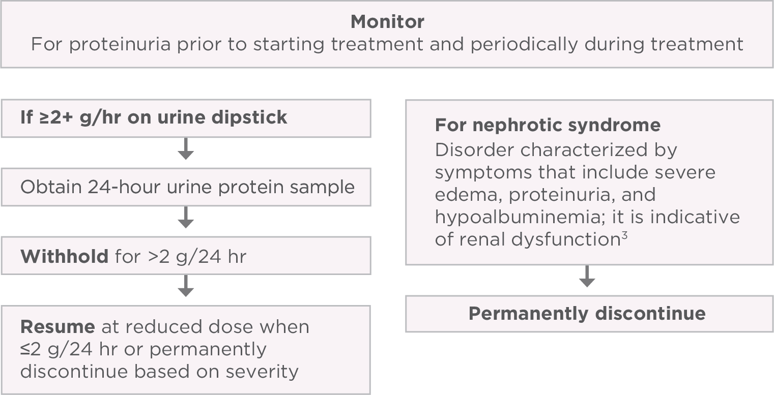 PI-guided strategies to manage proteinuria when taking LENVIMA for advanced renal cell carcinoma